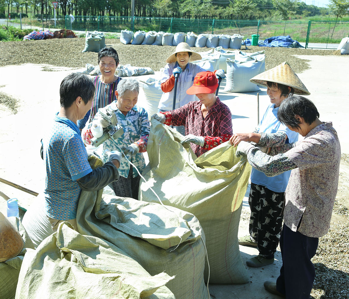 藿香丸功效与作用：清热解毒、祛风散寒、理气止痛，改善口臭