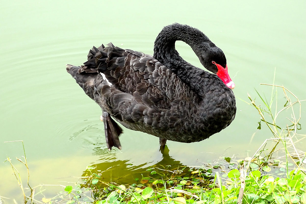 贵州省建设学校道路桥梁工程施工专业怎么样？