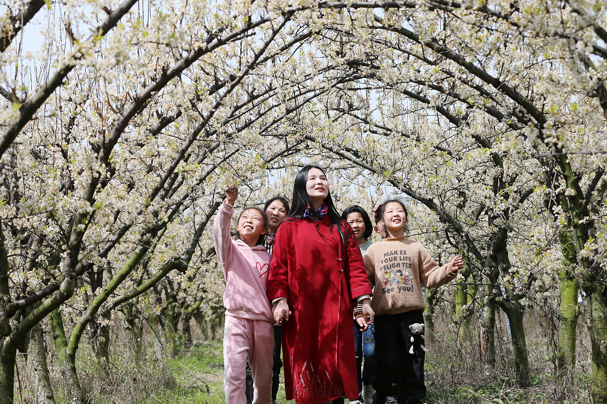 濉溪职业技术学校2021年招生条件是什么