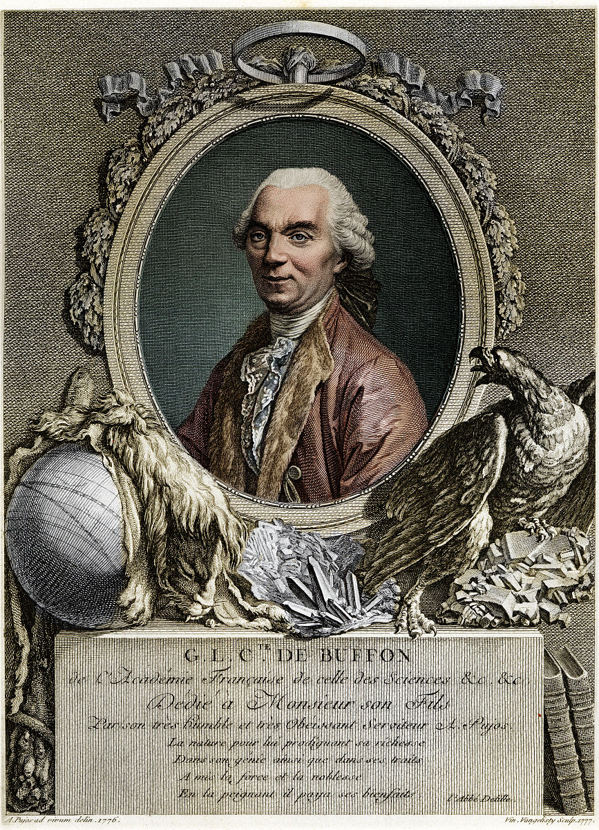 形而上学与物理学的关系：起源、原因与智慧的探索