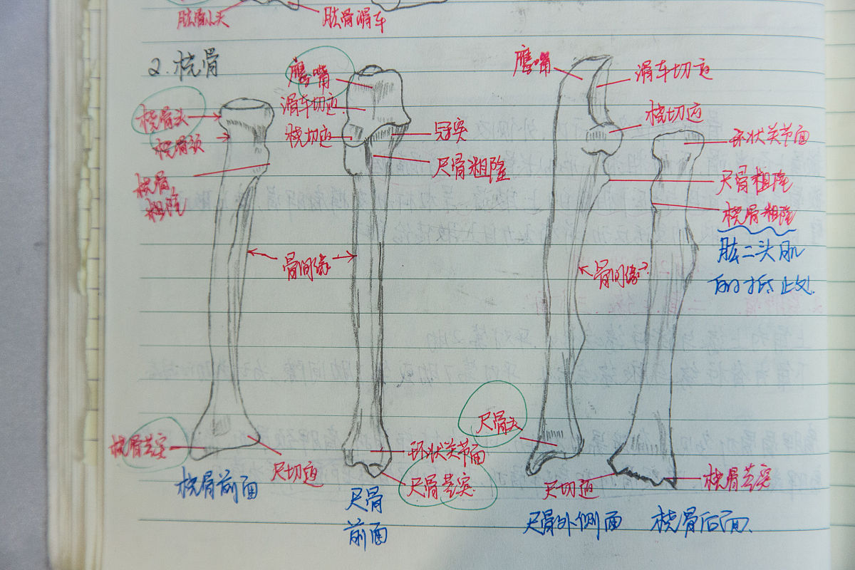 浙江卫校有中医专业吗用发散性