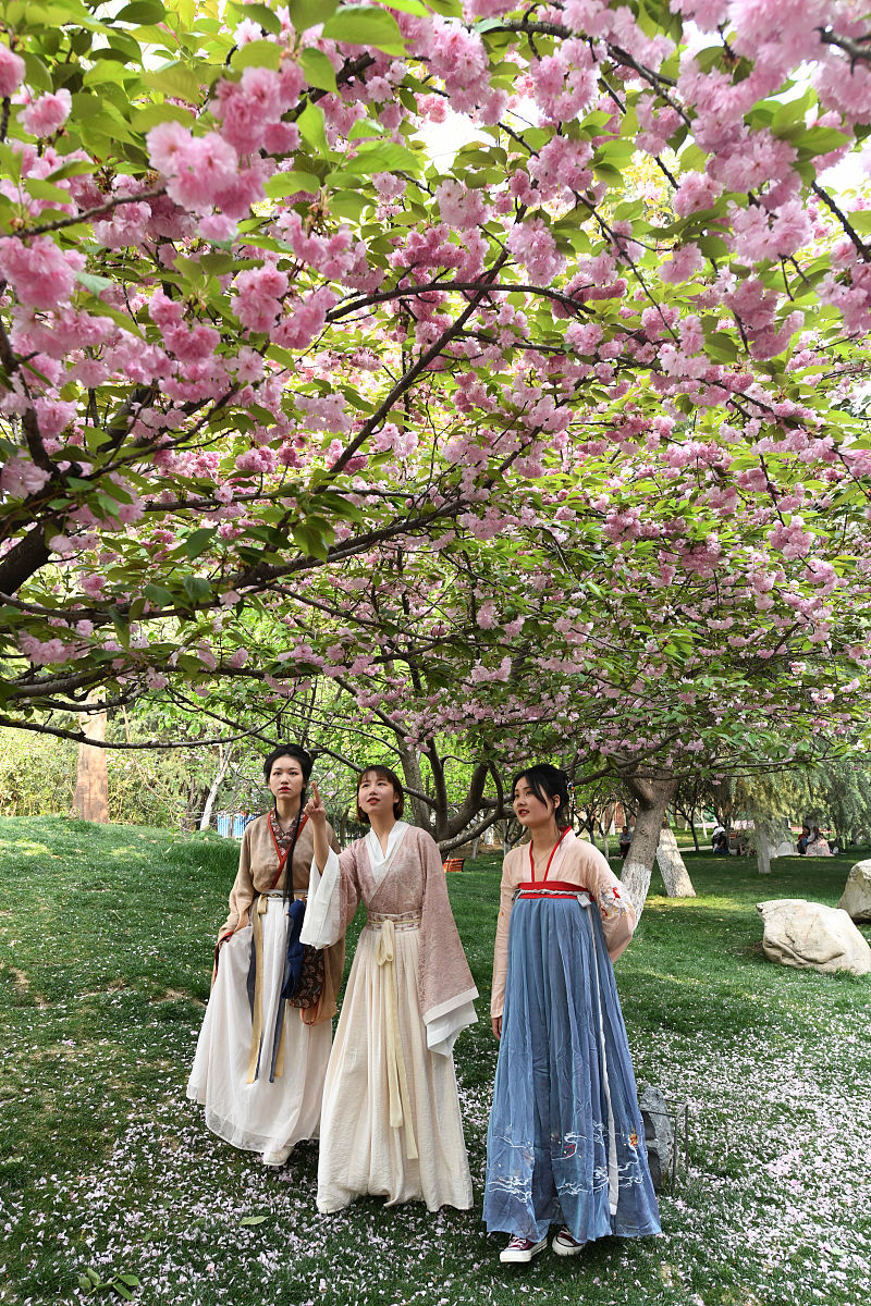 重庆幼儿师范高等专科学校学前教育专业怎么样？好学吗？