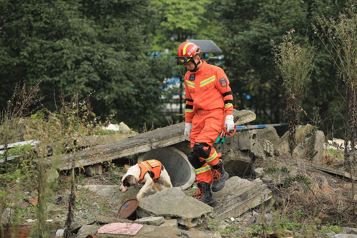 四川省女生上什么中专学校好用