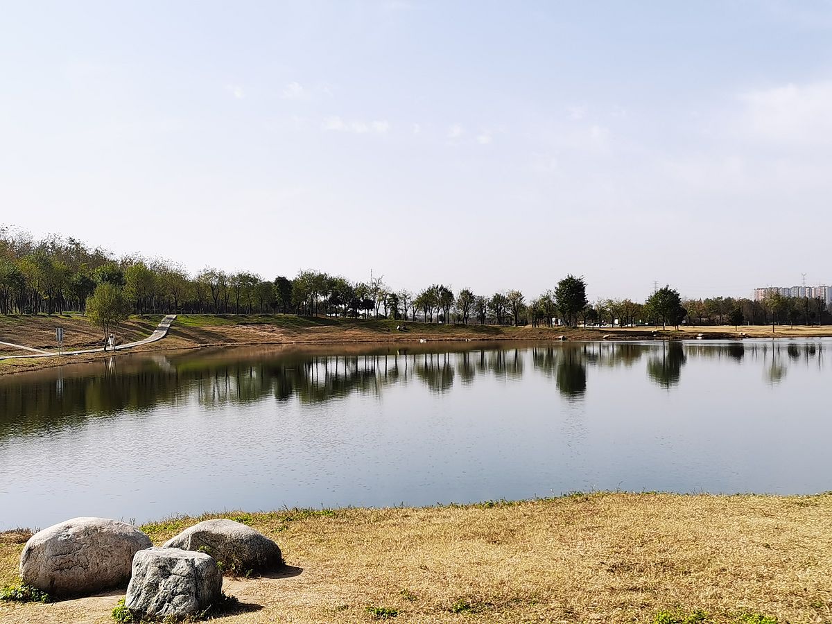 月光下的夜晚：300字小学作文