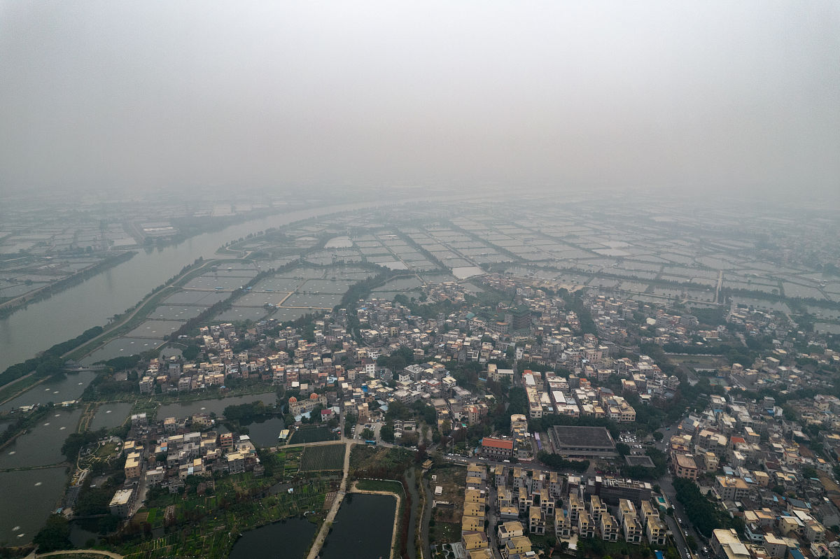 顺德区杏坛中学地址：如何前往？
