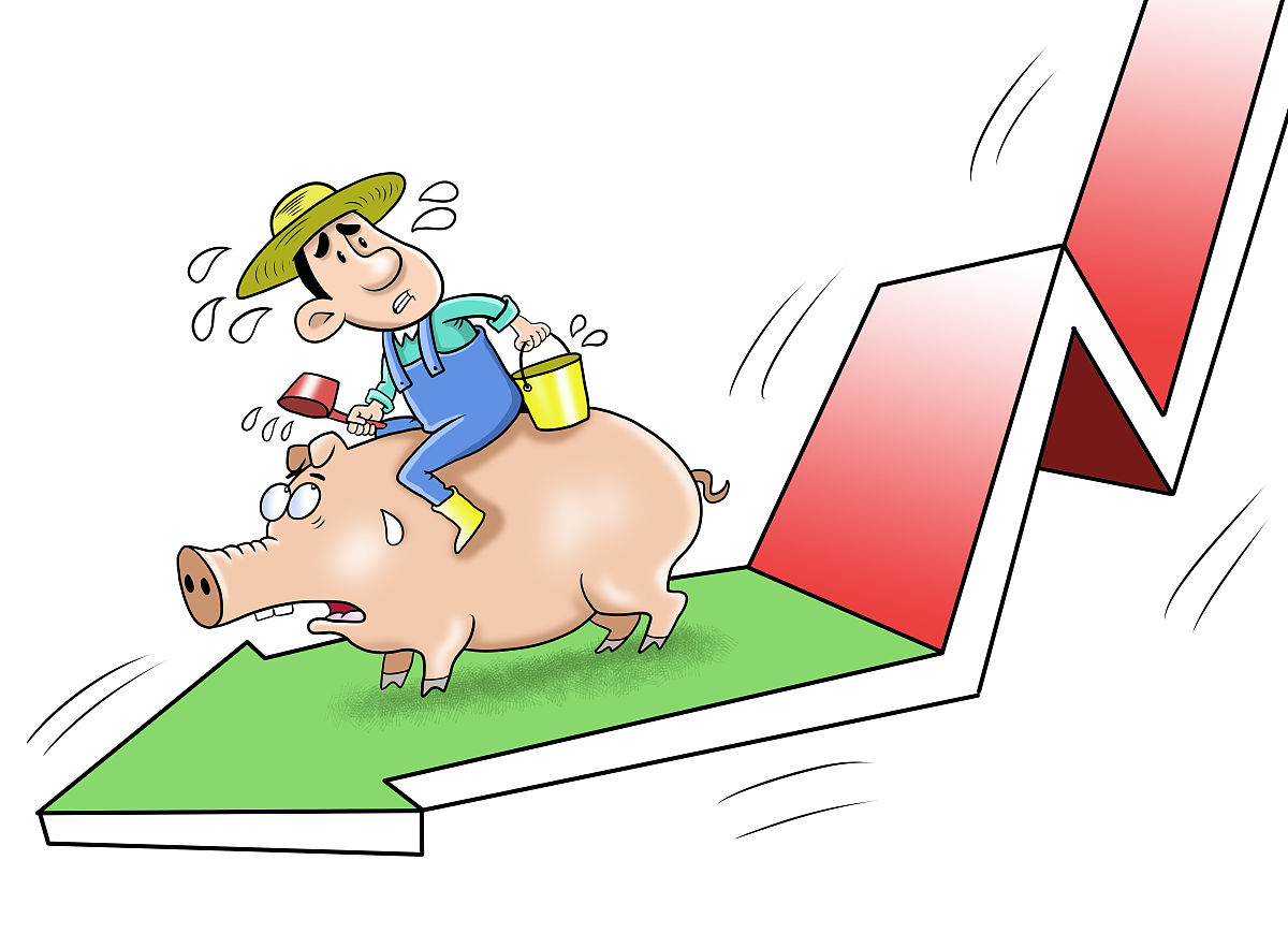 生猪期货与现货价格联动分析论文评语：研究严谨，价值突出