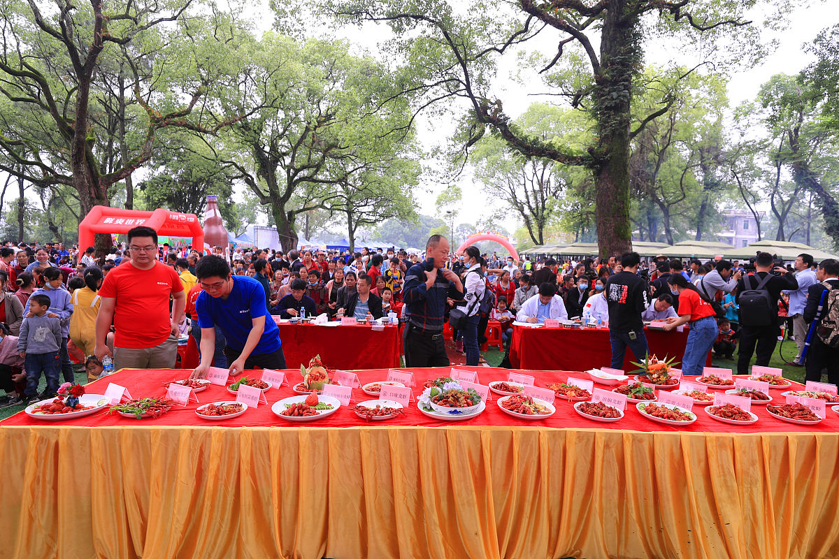 2022年洛阳文化旅游职业学院招生简章