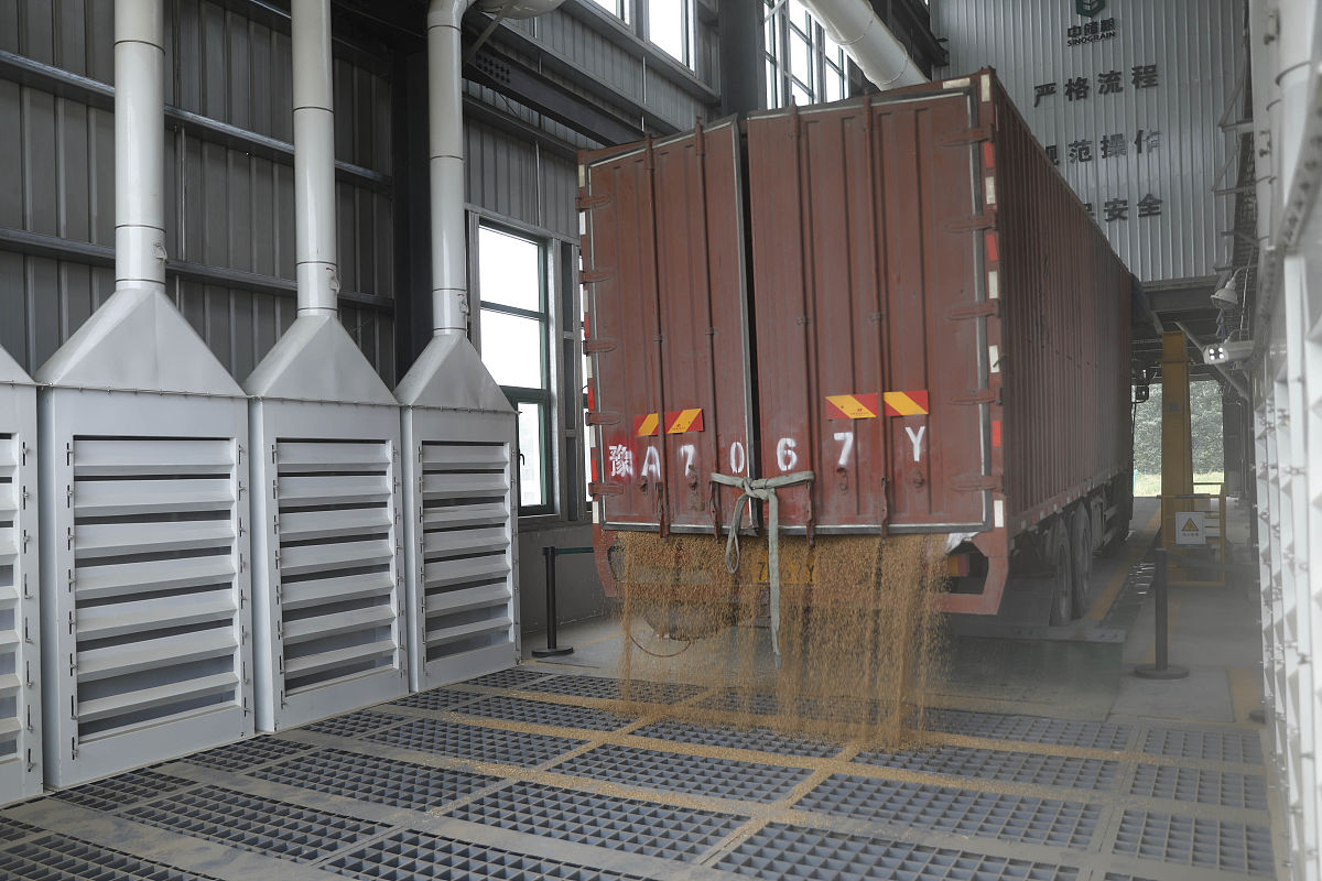 货物保险争议：石灰涂层厚度不足且记录不符