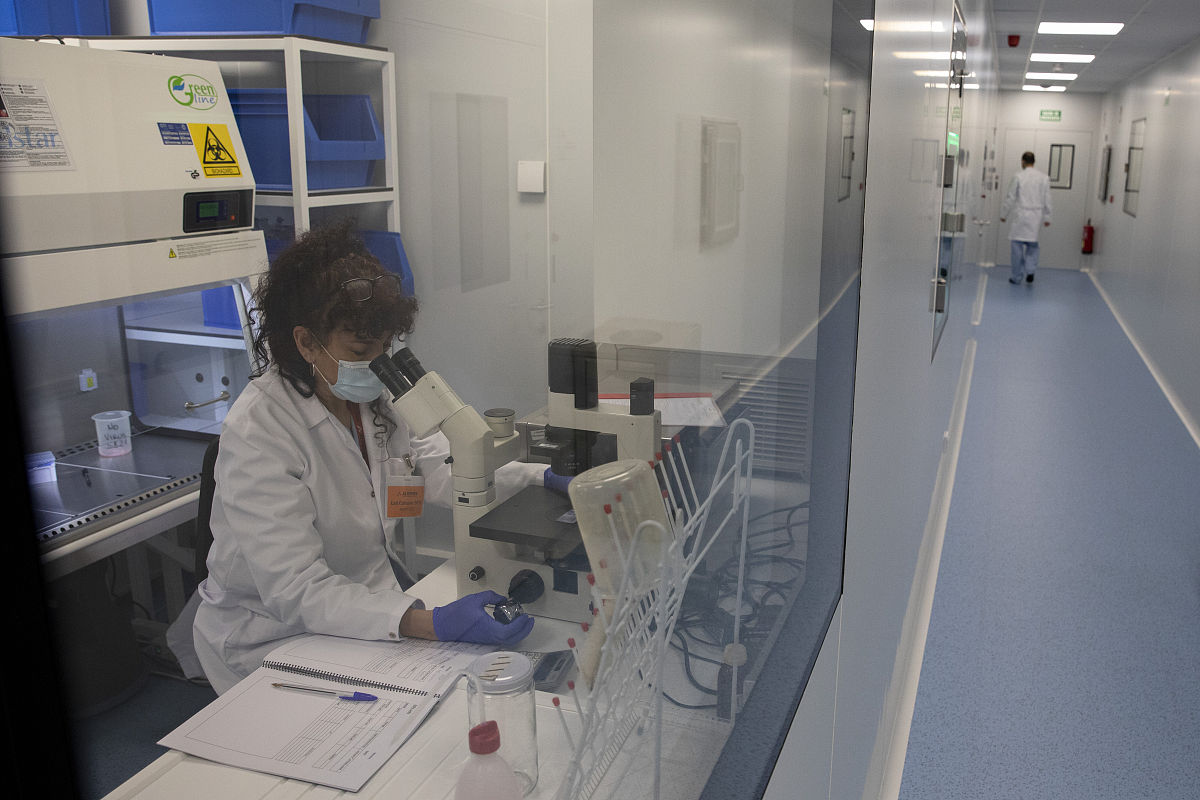 浙江医药高等专科学校药品生产技术(化学制药)专业课程介绍