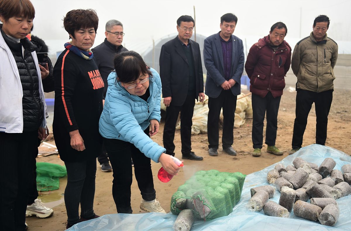 黑龙江农业工程职业学院财务管理专业专业好不好发展前景怎样