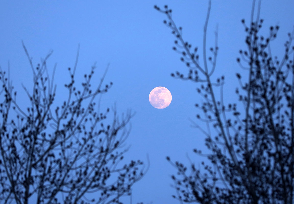 《月夜忆舍弟》赏析:月夜思弟,寄托情深 《月夜忆舍弟》赏析:月夜思弟,寄托情深