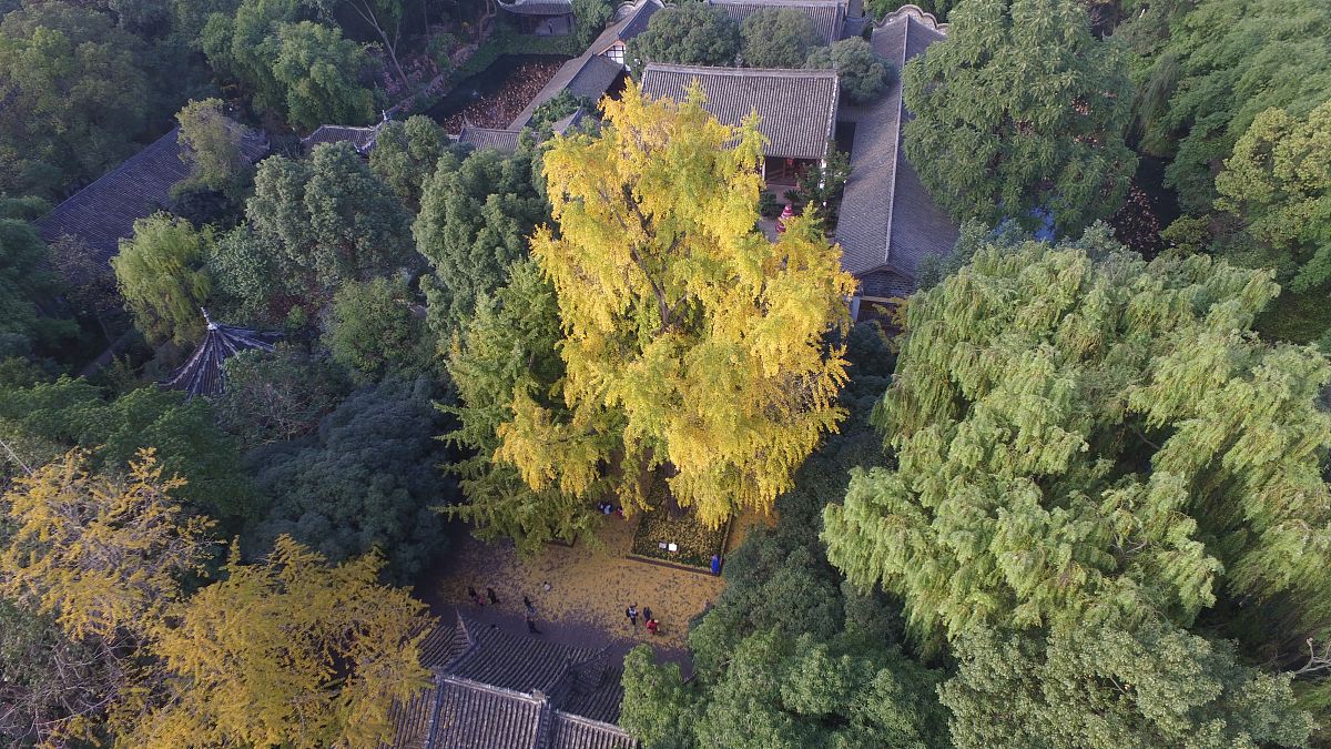眉山市技工学校地址及乘车路线 - 详细交通指南