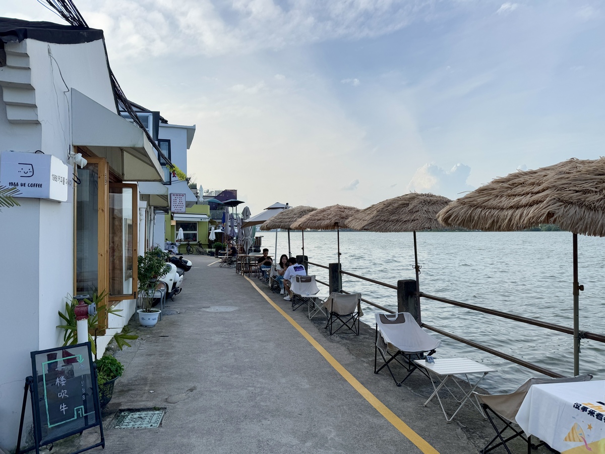 宁波肿瘤药物研发动物模型公司推荐