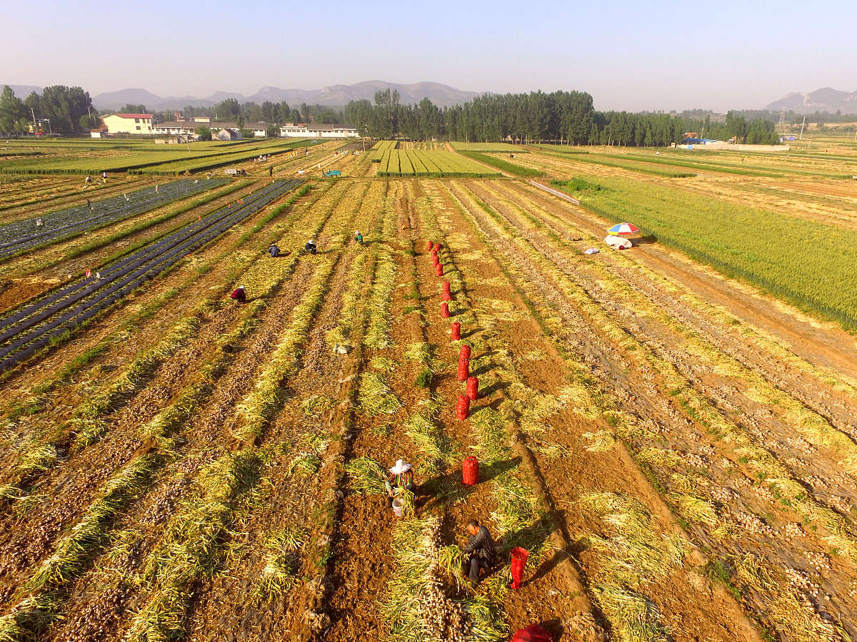 河北省农业经济发展现状