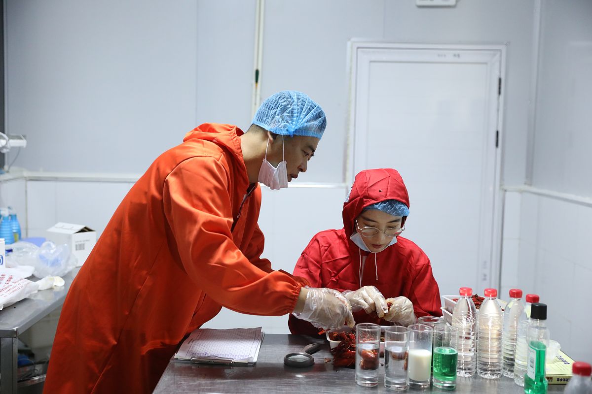 鄂州职业大学医学院有药剂专业吗