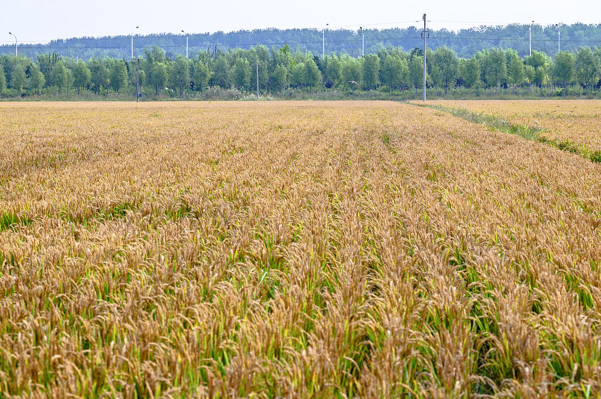 云南省园艺场学校物流服务与管理专业2022年招生