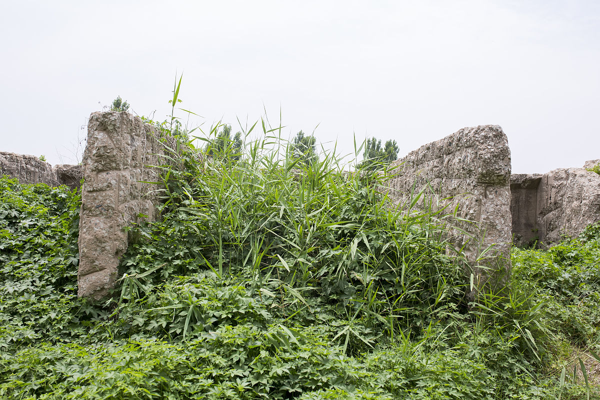 黄河水利职业技术学院会计专业就业前景分析 - 未来发展方向及必备技能
