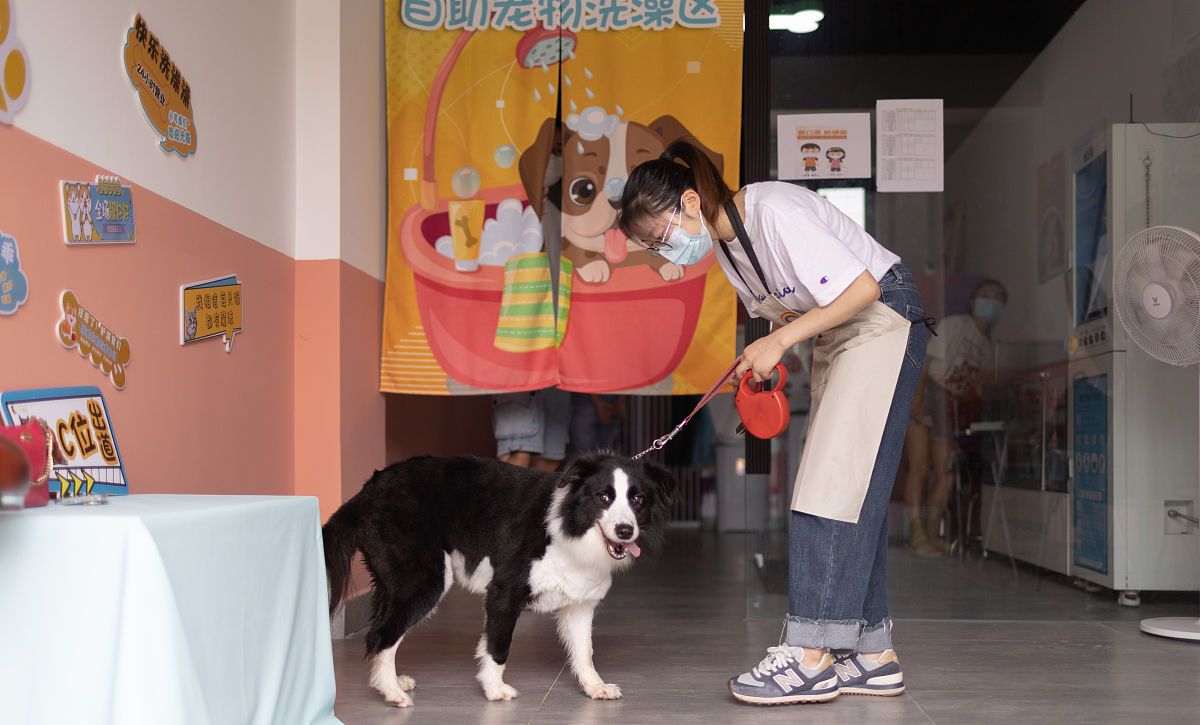 开宠物店需要学习什么专业？未来发展好不好？