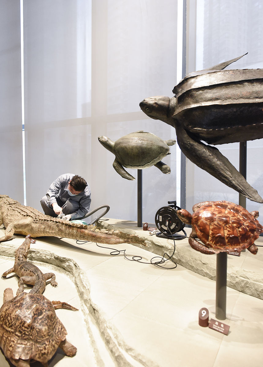 Carotid Artery Plaque Rupture: Diagnosis, Treatment, and Recovery