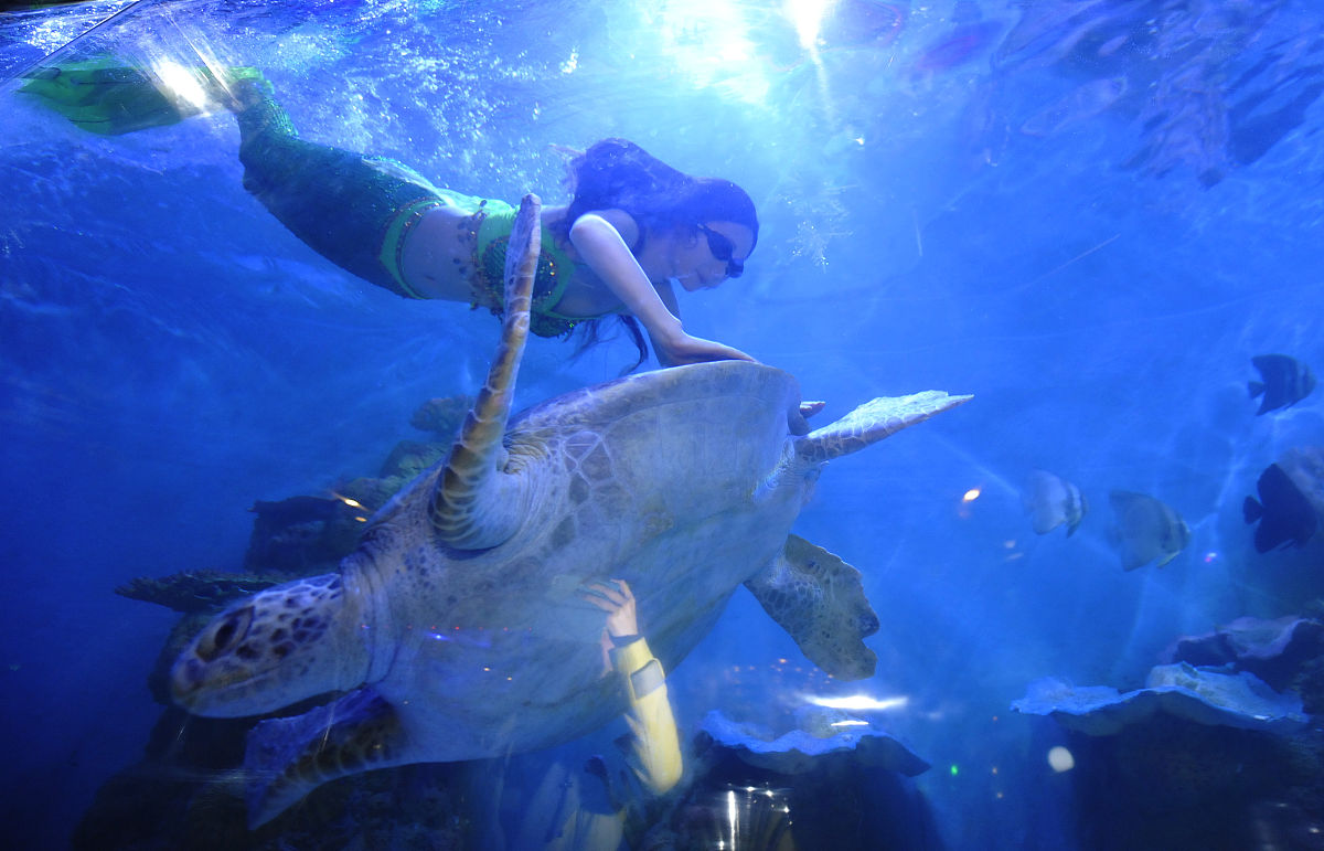 合肥中专学校哪家好？2022年选择指南