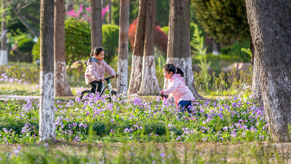 幼儿园小朋友下在公园快乐春游的感受