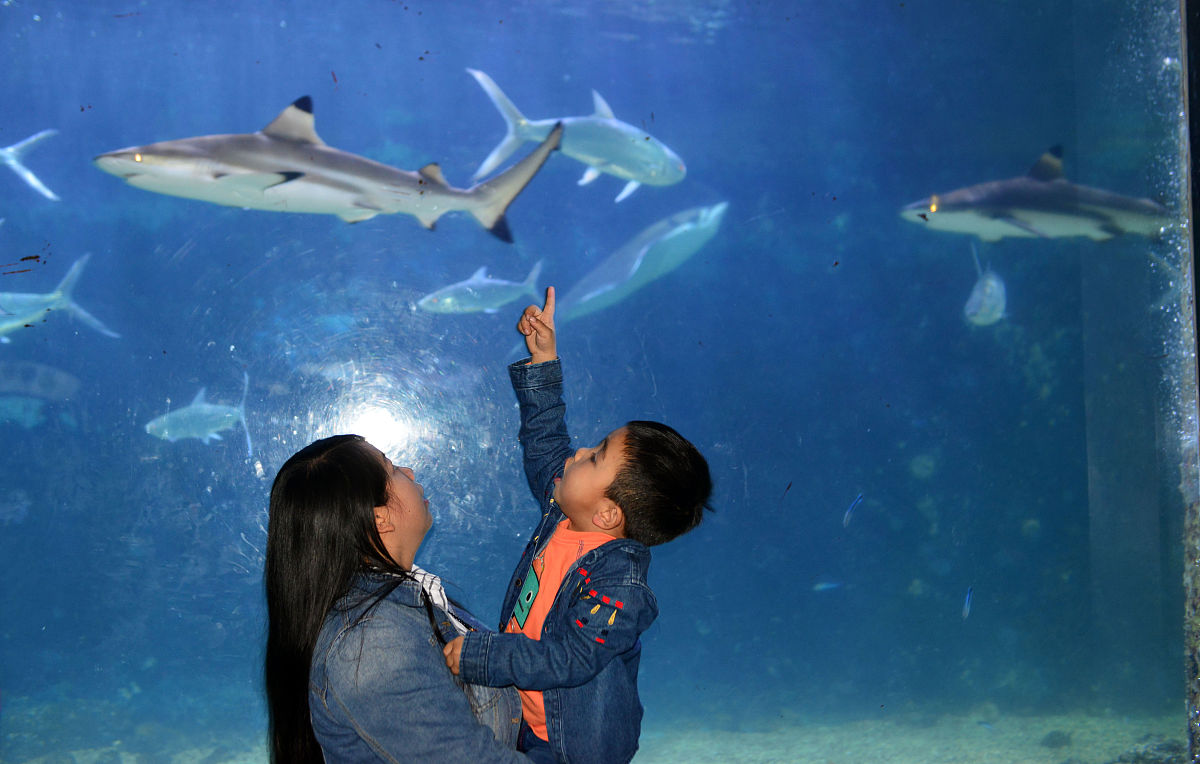 一个人在深圳罗湖周六去哪玩