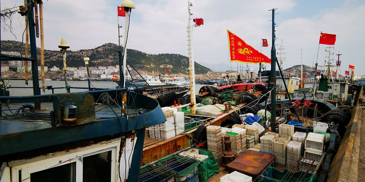 2019年4月10日,鲅鱼节期间,青岛市崂山区沙子口渔港码头的"青岛沙子口