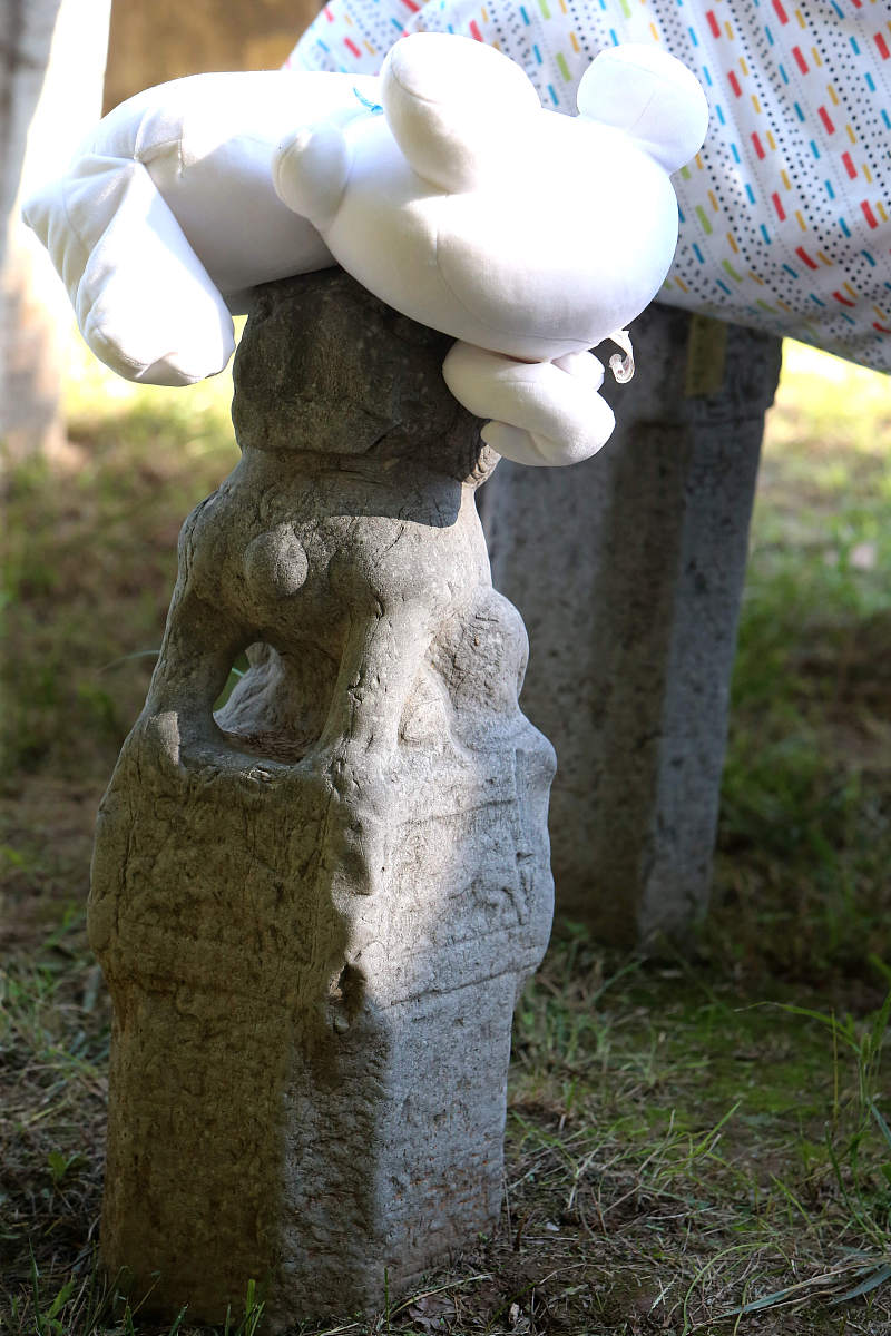 西安职业技术学院畜牧兽医专业就业方向及前景