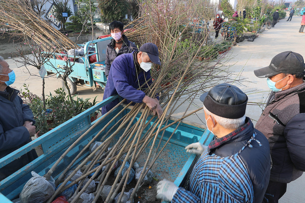2020年3月12日,当日是一年一度的植树节,在江苏如皋花木大世界新开辟