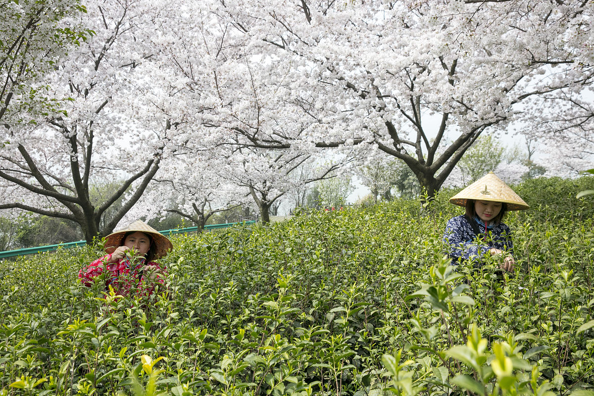 萧山区第二中等职业学校休闲农业专业就业前景和薪资待遇怎么样？