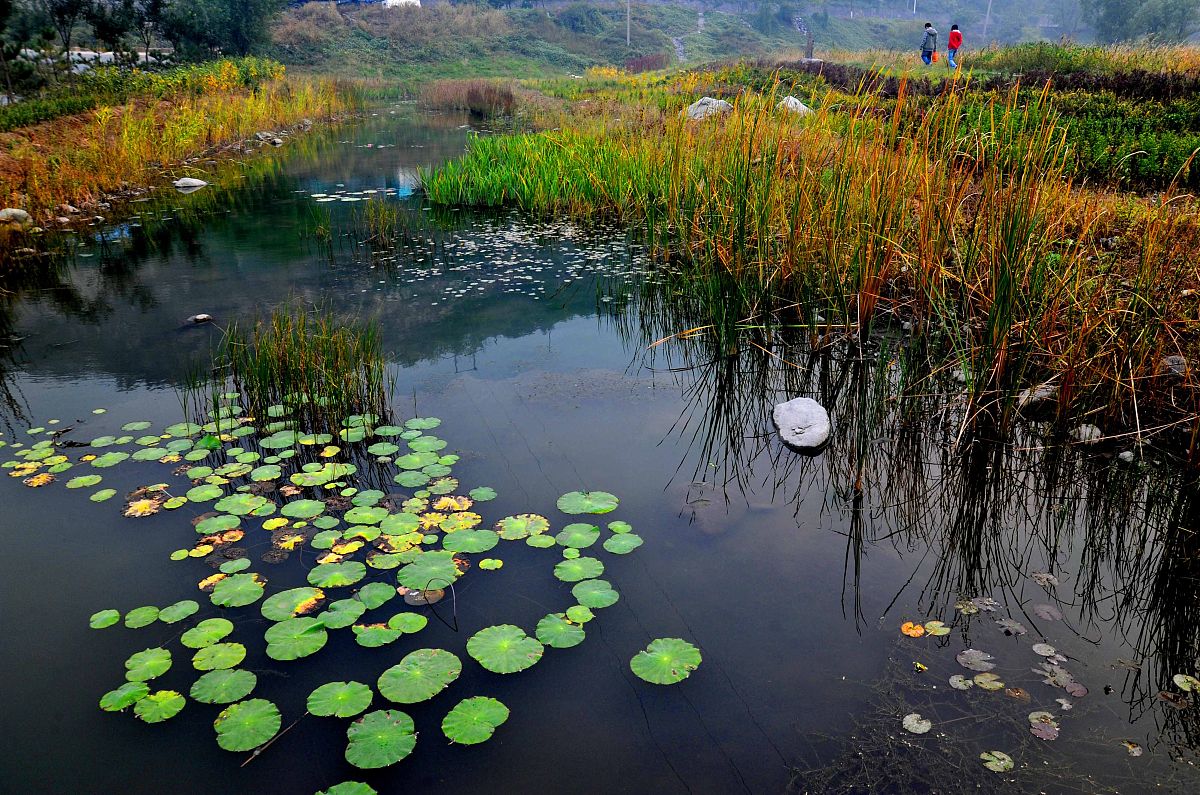 重庆资源与环境保护学院污染修复与生态工程技术专业介绍 | 2020年招生