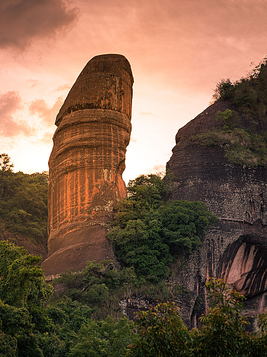 广州韶关丹霞山世界地质公园野生植物辨认赛事预热报名推文1000字