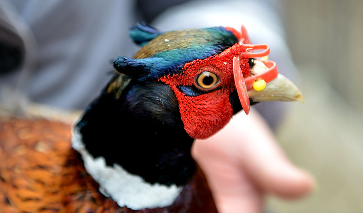 2023云南新兴职业学院招生报名：微信号、官网及其他渠道