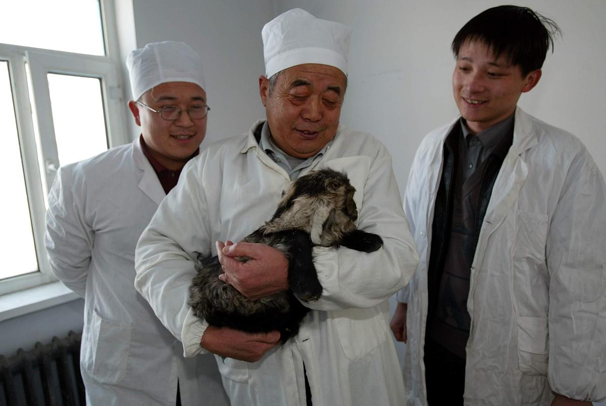 中国首例异体克隆动物——克隆北山羊2004年1月21日在新疆乌鲁木齐县