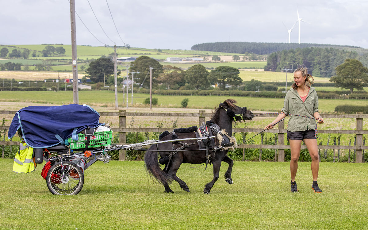 降低论文重复率：如何改写关于互动方式的描述