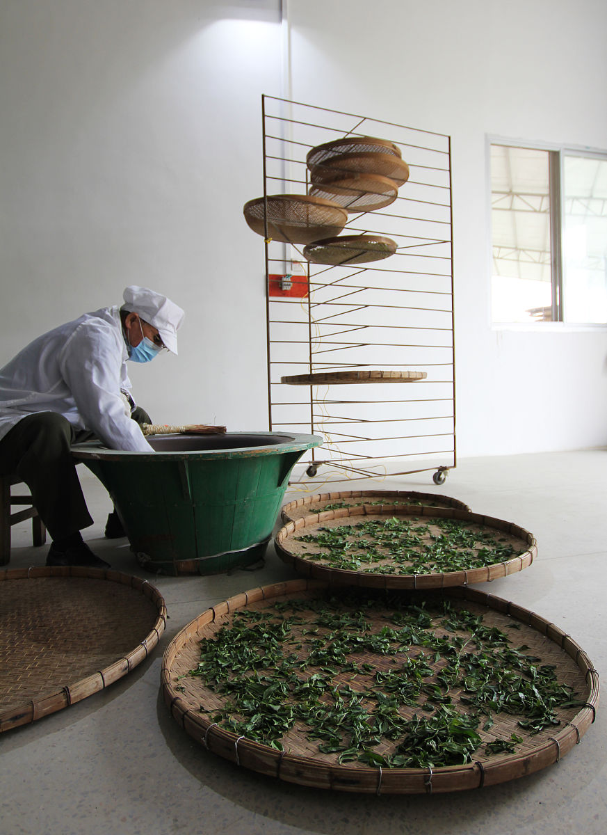 白茶创作方向：传承与创新，打造特色品牌