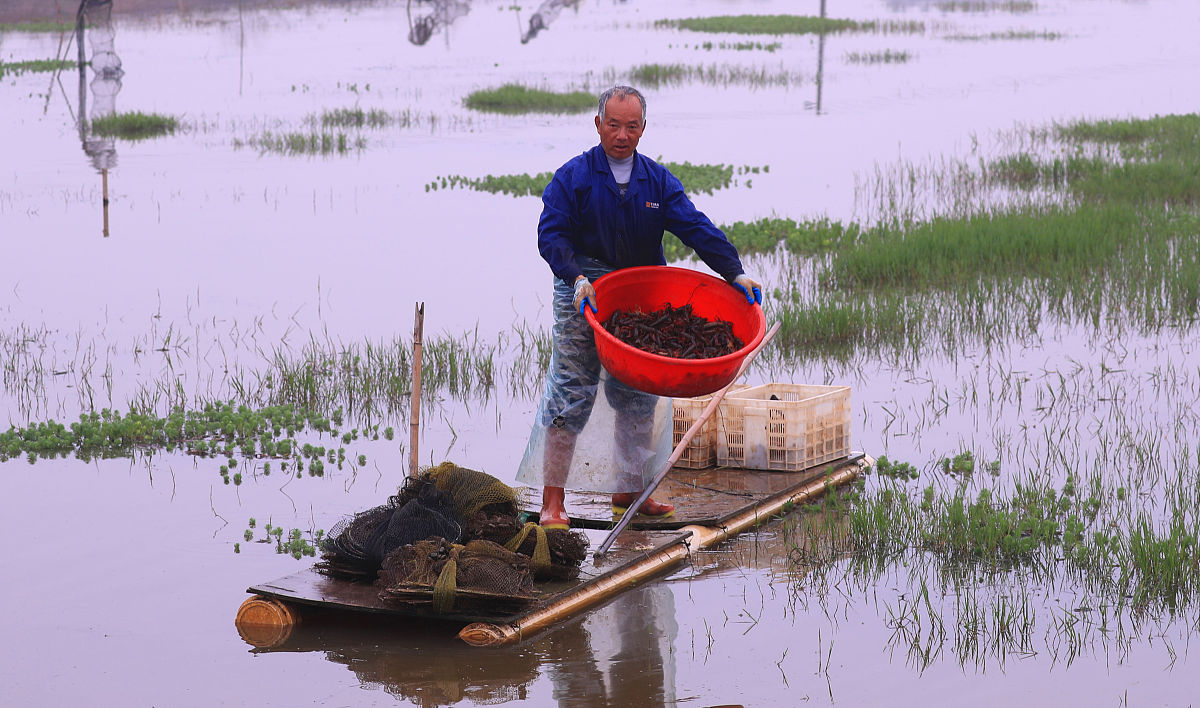 四川省水产学校2019-锁经营与管理招生