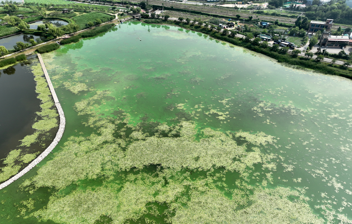 中国河流现状：污染严重，治理迫切