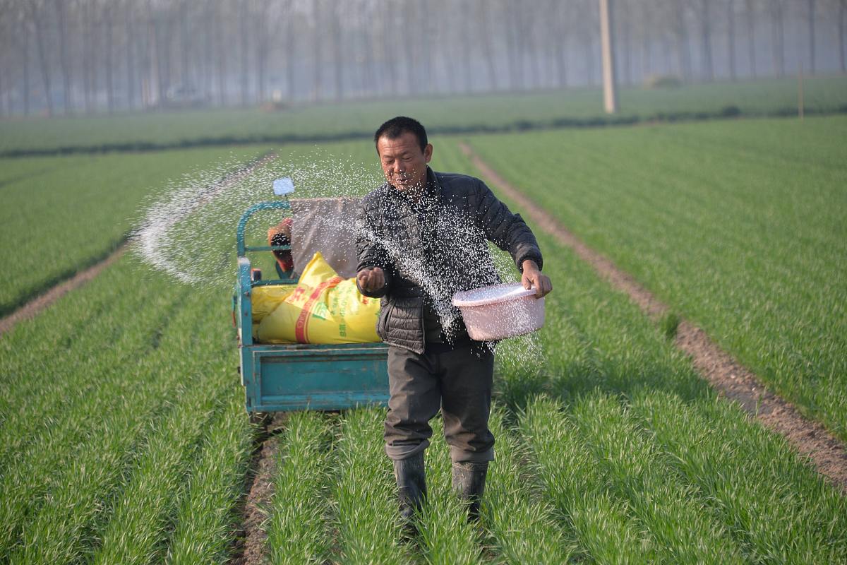 农田施肥技术：提高产量，改善土壤，实现可持续发展