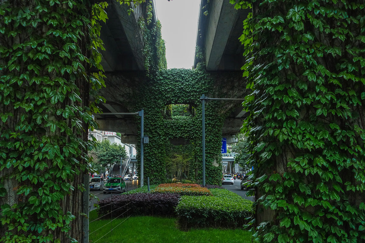 成都高中 vs 中专：2021 年哪个更适合你？