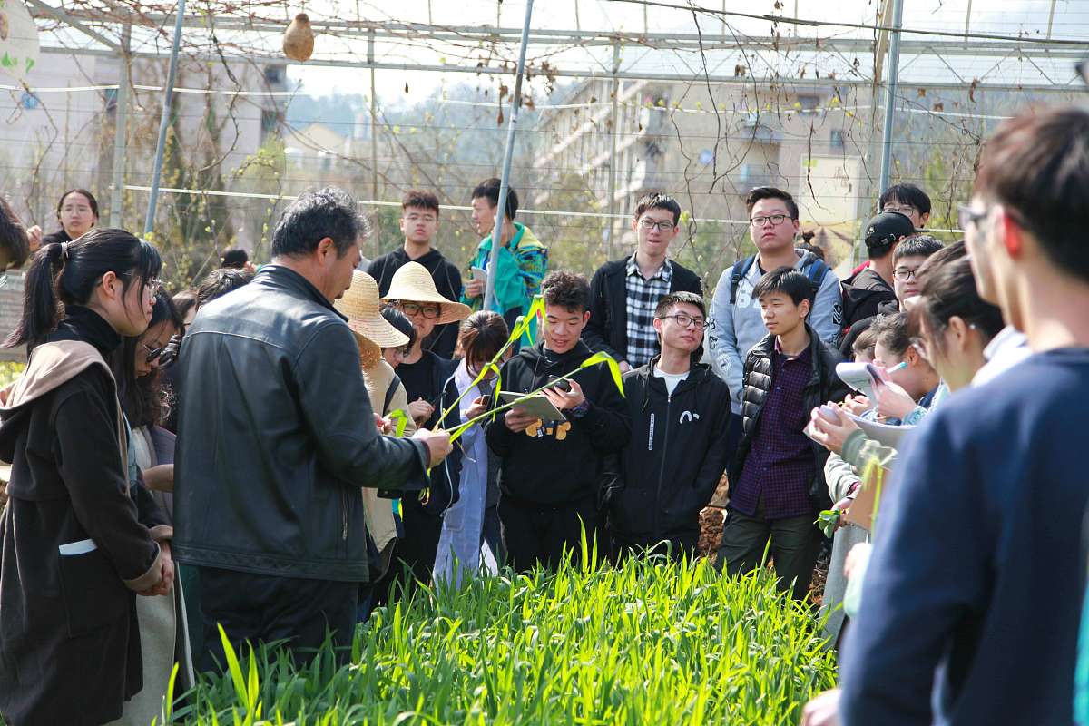 物理教育理论学习心得：培养科学思维和解决问题能力
