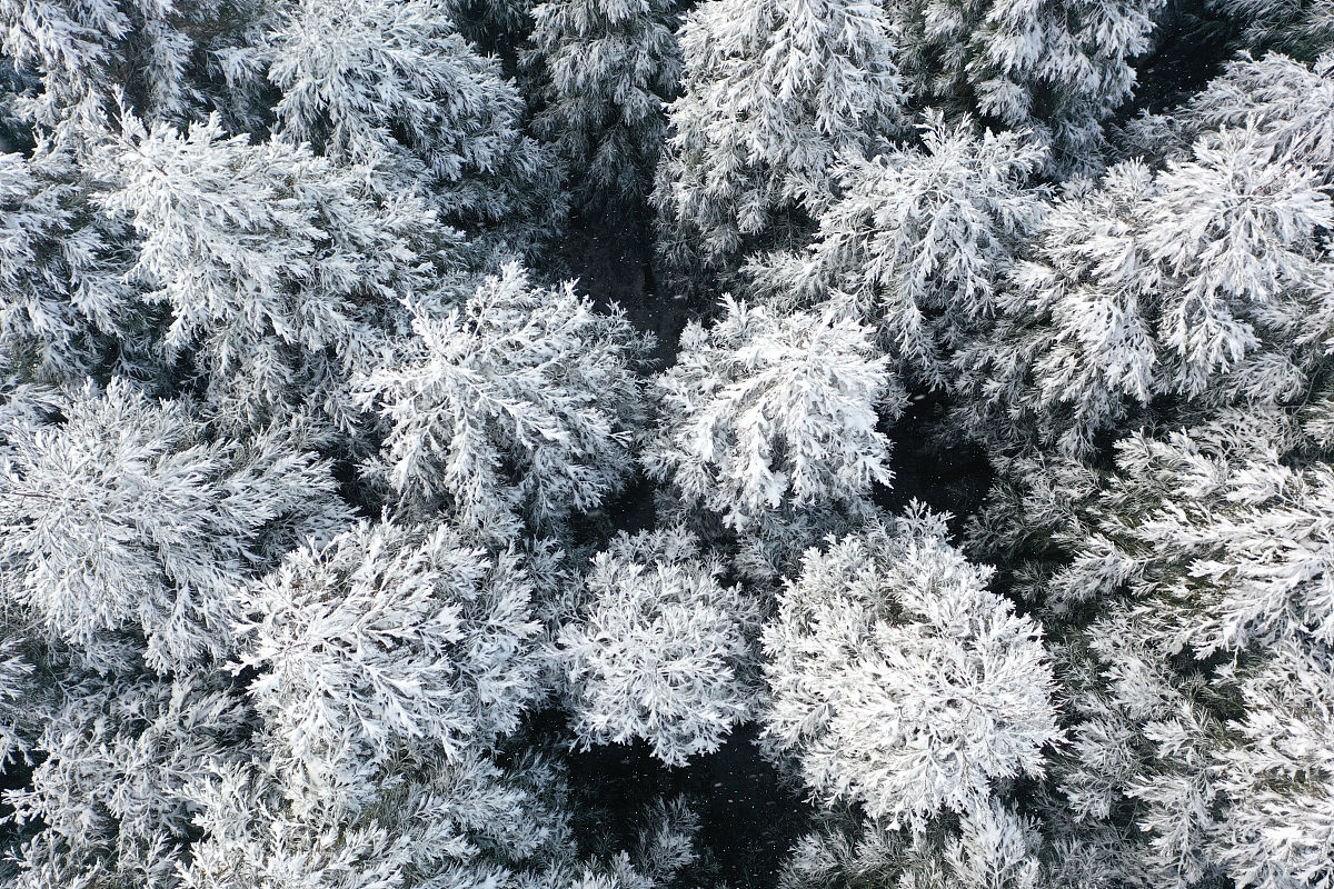 贵阳白云职业技术学校城市轨道交通运营与管理专业怎么样？教学质量好吗？