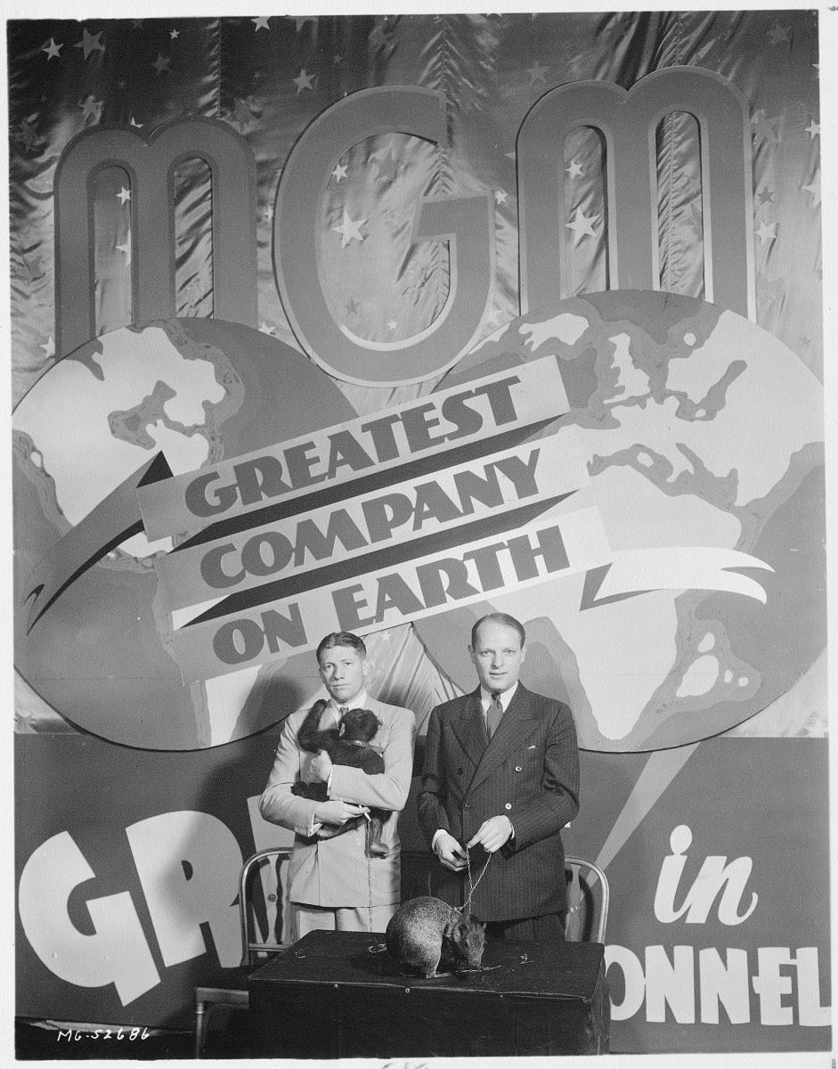 推荐《1984》：人类最值得读的书之一