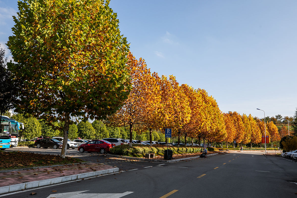 贵州食品工程职业学院学前教育专业怎么样都要学些什么怎么样