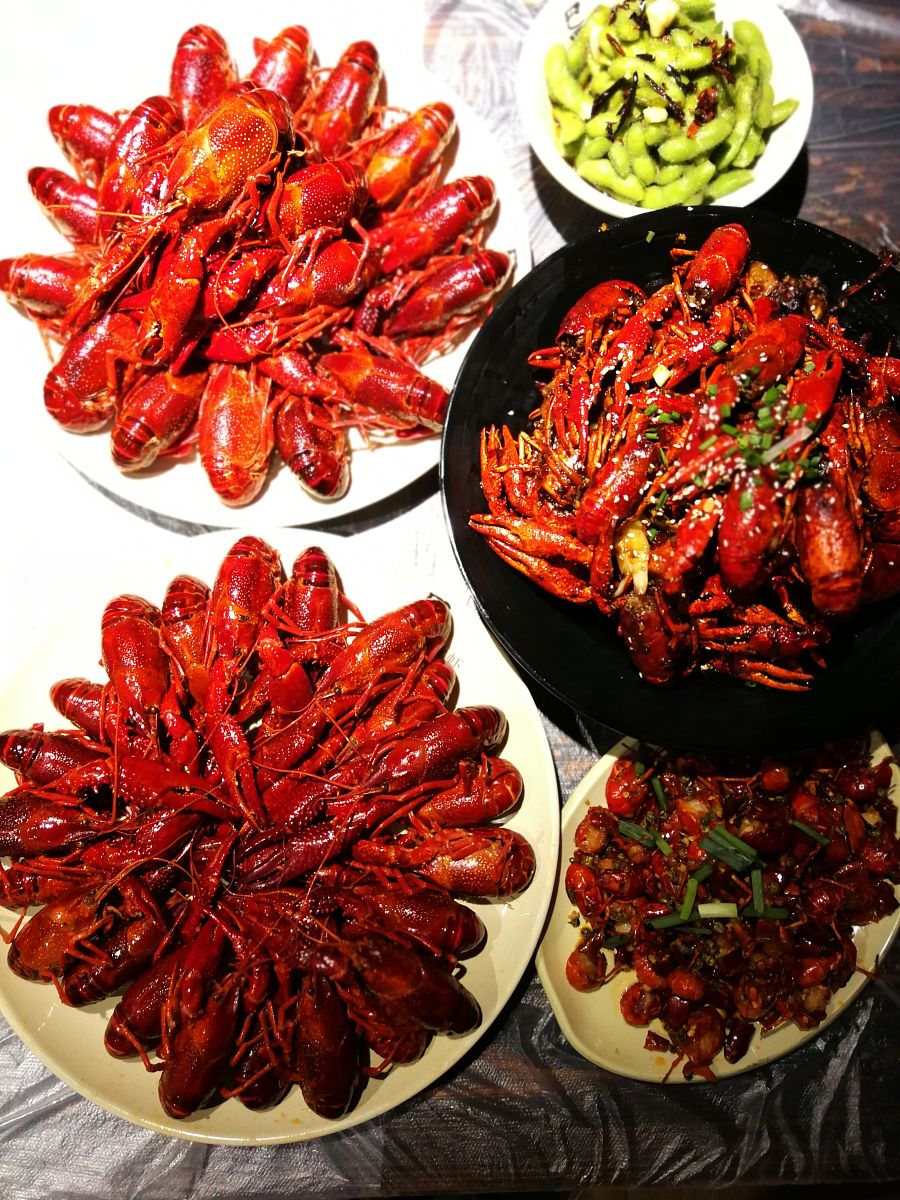 4-6钱小龙虾有多大？带你了解小龙虾生长过程