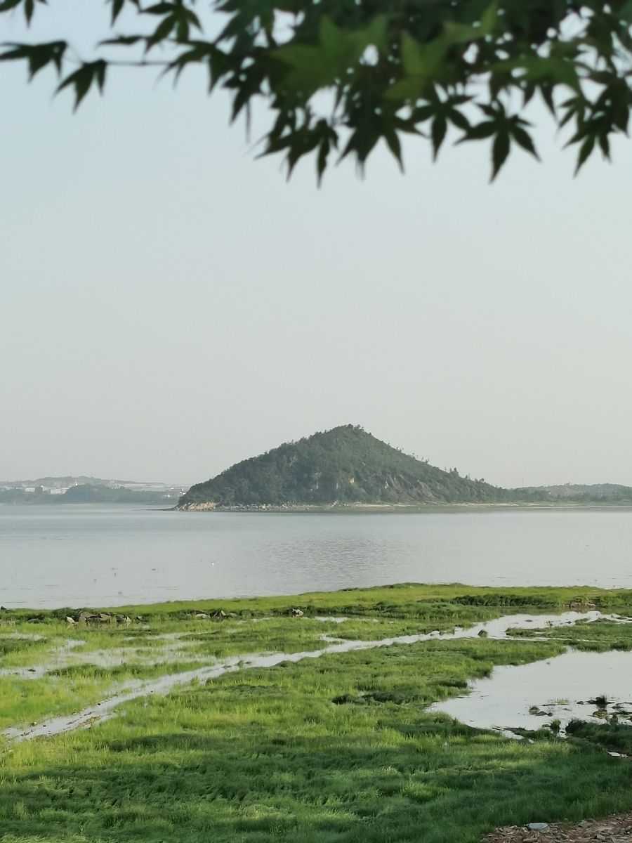 江西省有哪些特色？旅游景点全攻略，带你解锁未来发展趋势！