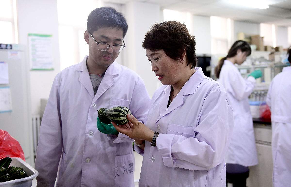 高校教师如何提升科研能力，实现职业发展？