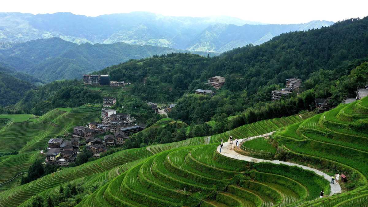 重庆龙脊梯田：古建筑与自然景观交织的诗意画卷