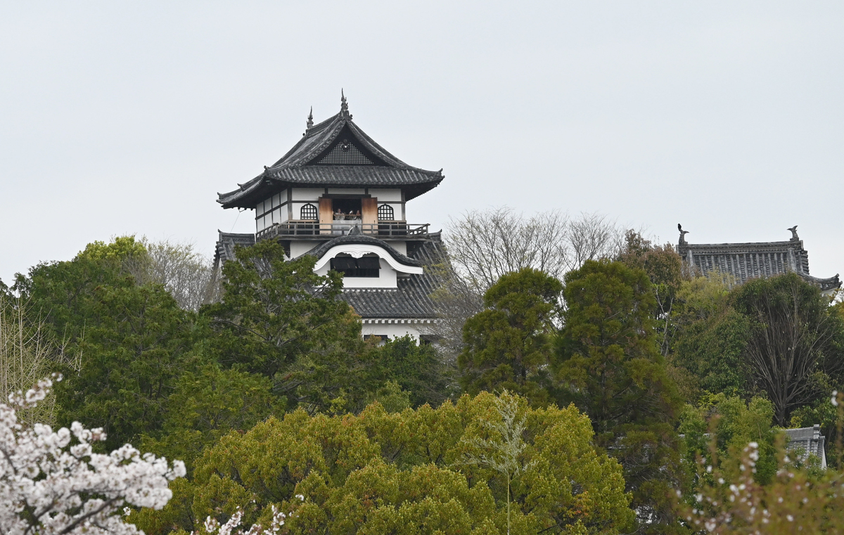 当地时间2026年4月4日,日本爱知县犬山市,照片展示了.