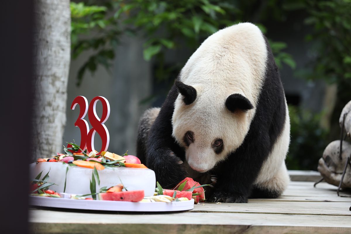 生日祝福诗：愿你幸福闪耀，梦想成真